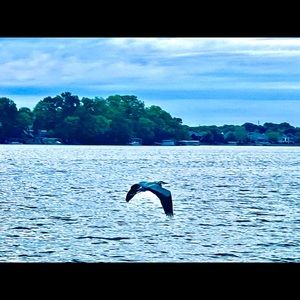 Meet your Posher, Sherri